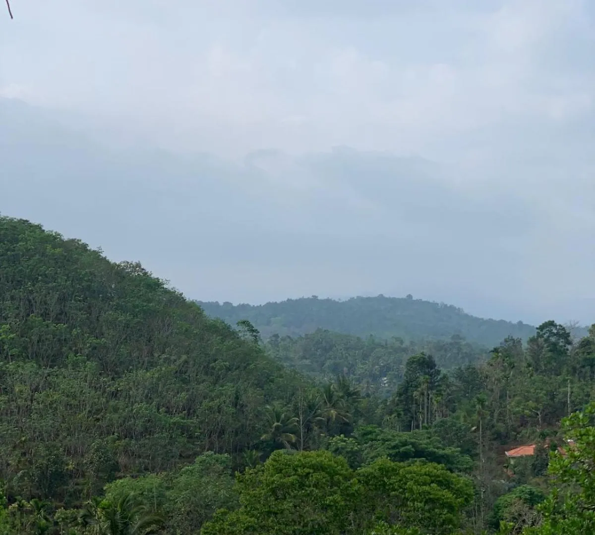 Pepper Mist Wayanad Homestay Tindummal Villa