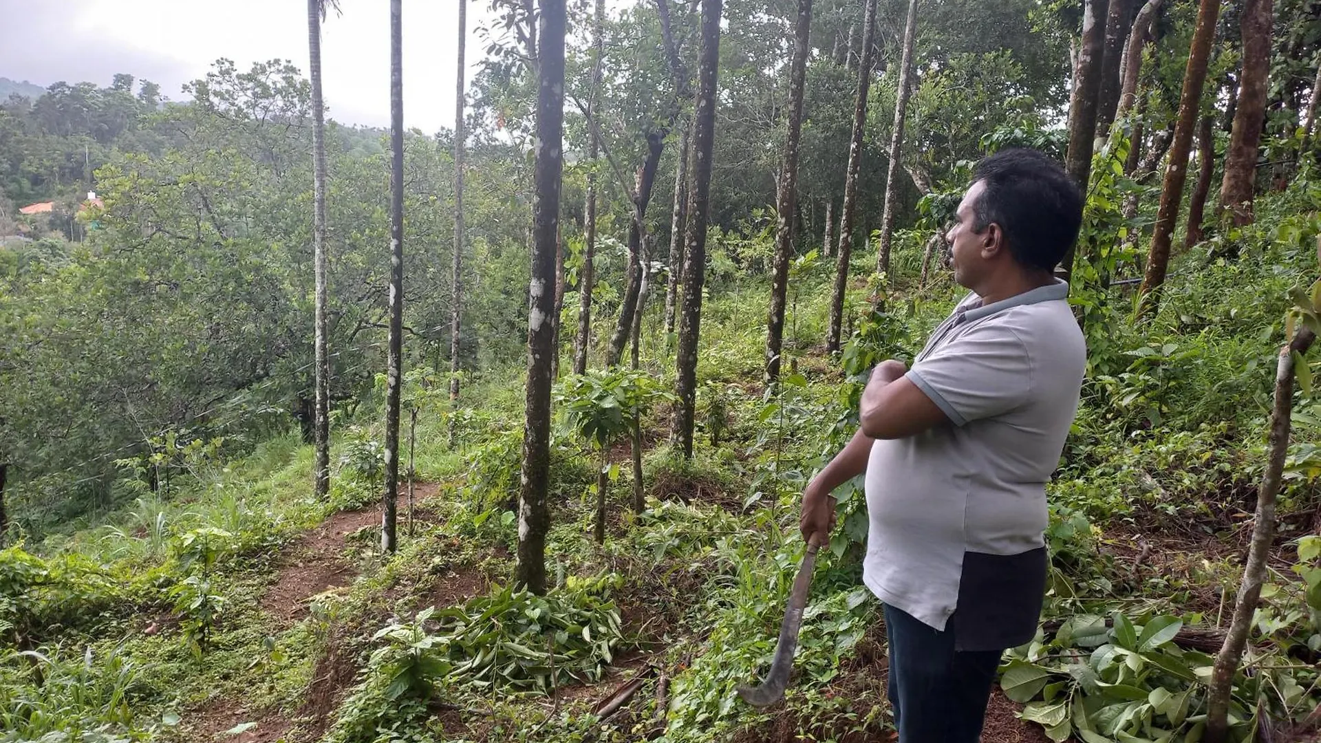 Pepper Mist Wayanad Homestay Tindummal Villa