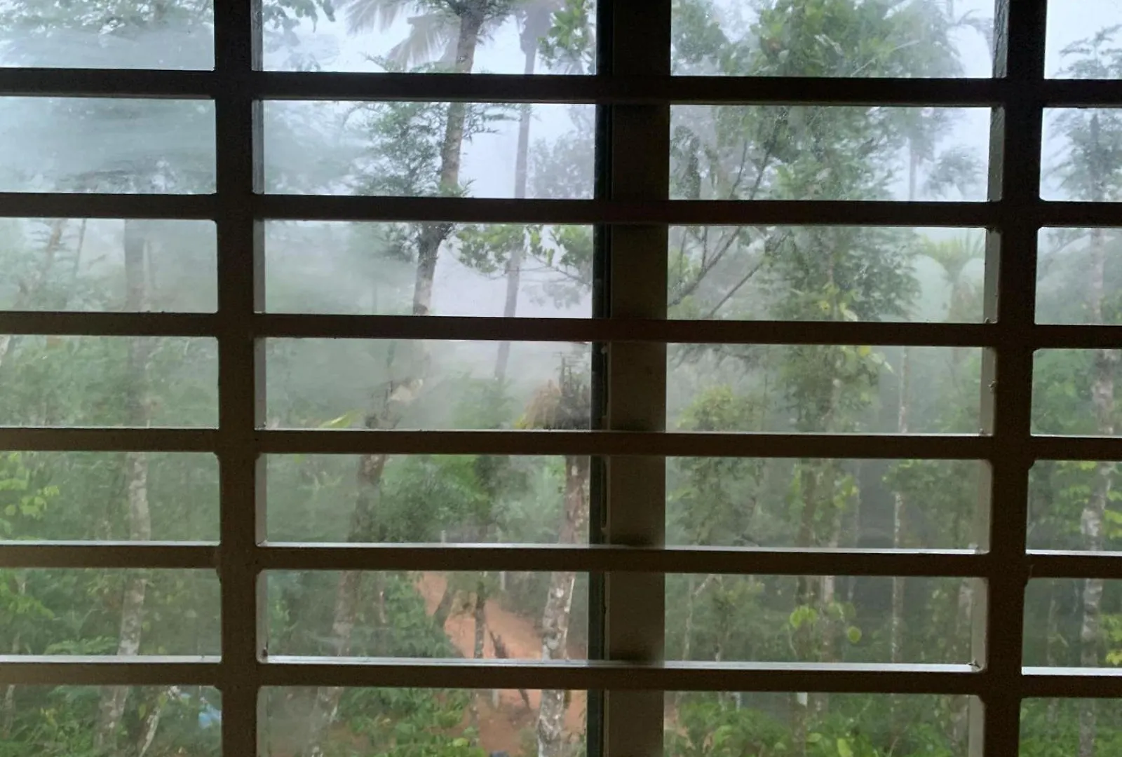 Pepper Mist Wayanad Homestay Tindummal 0*,