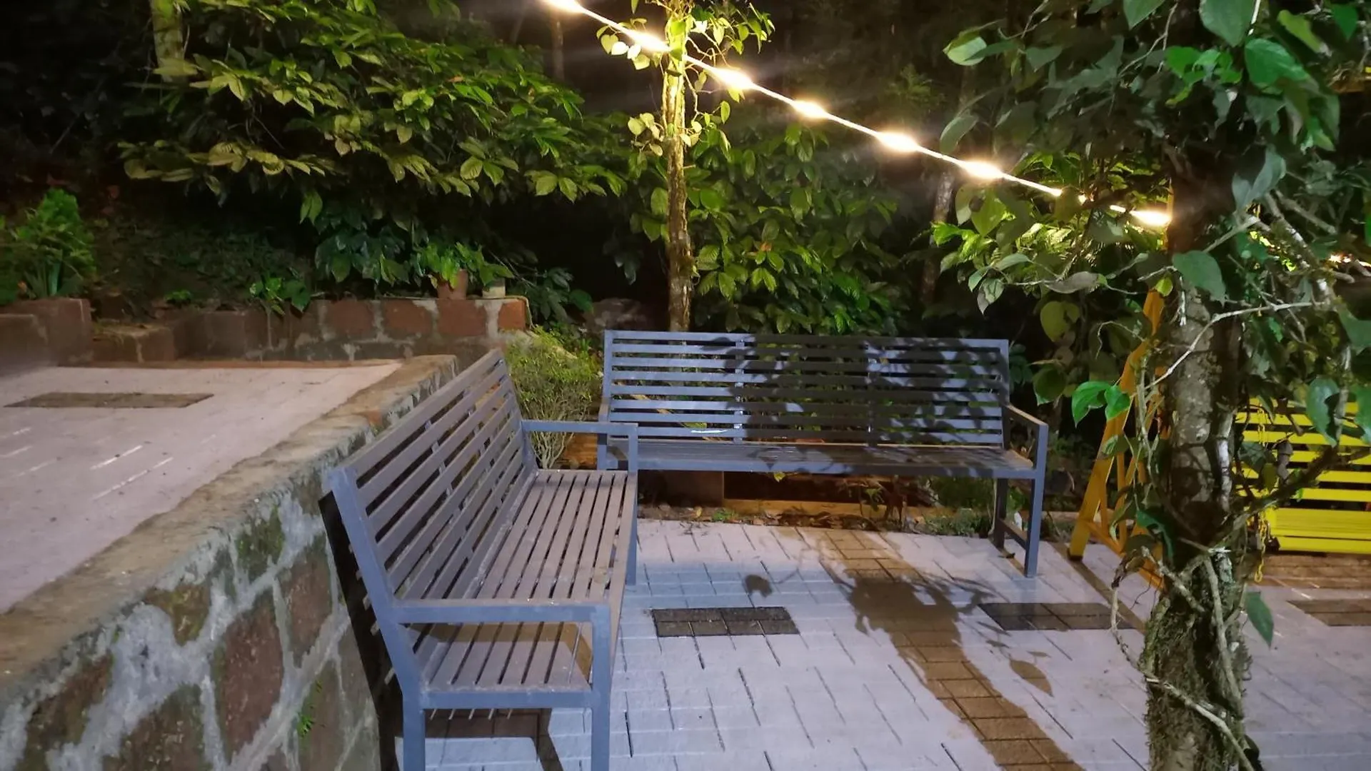 Pepper Mist Wayanad Homestay Tindummal