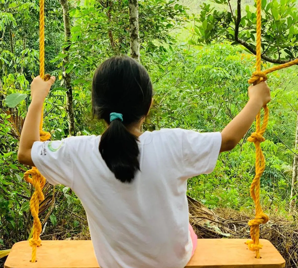 Pepper Mist Wayanad Homestay Tindummal 0*,  India