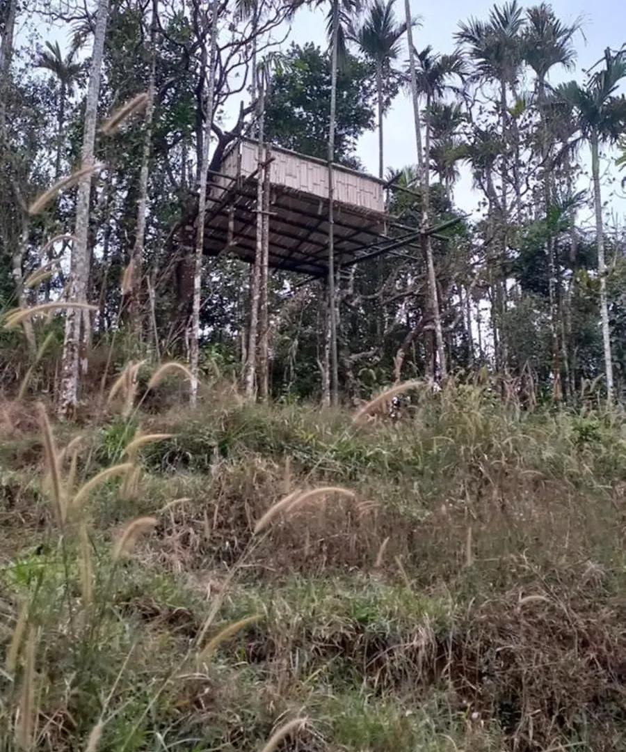 Villa Pepper Mist Wayanad Homestay Tindummal