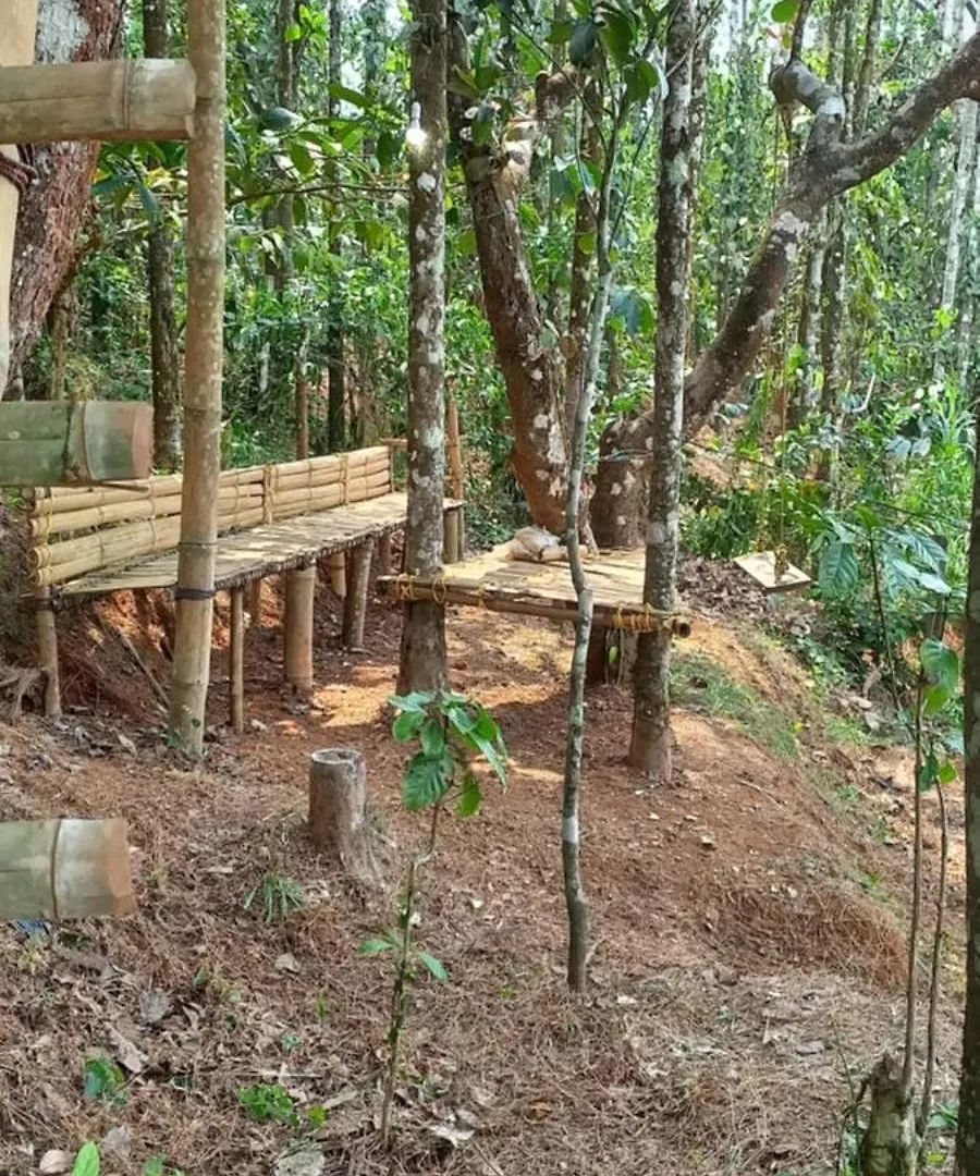 Pepper Mist Wayanad Homestay Tindummal Villa
