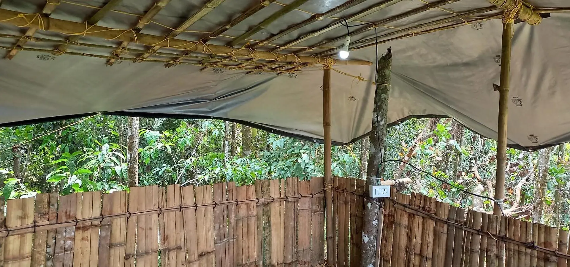 Pepper Mist Wayanad Homestay Tindummal 0*,