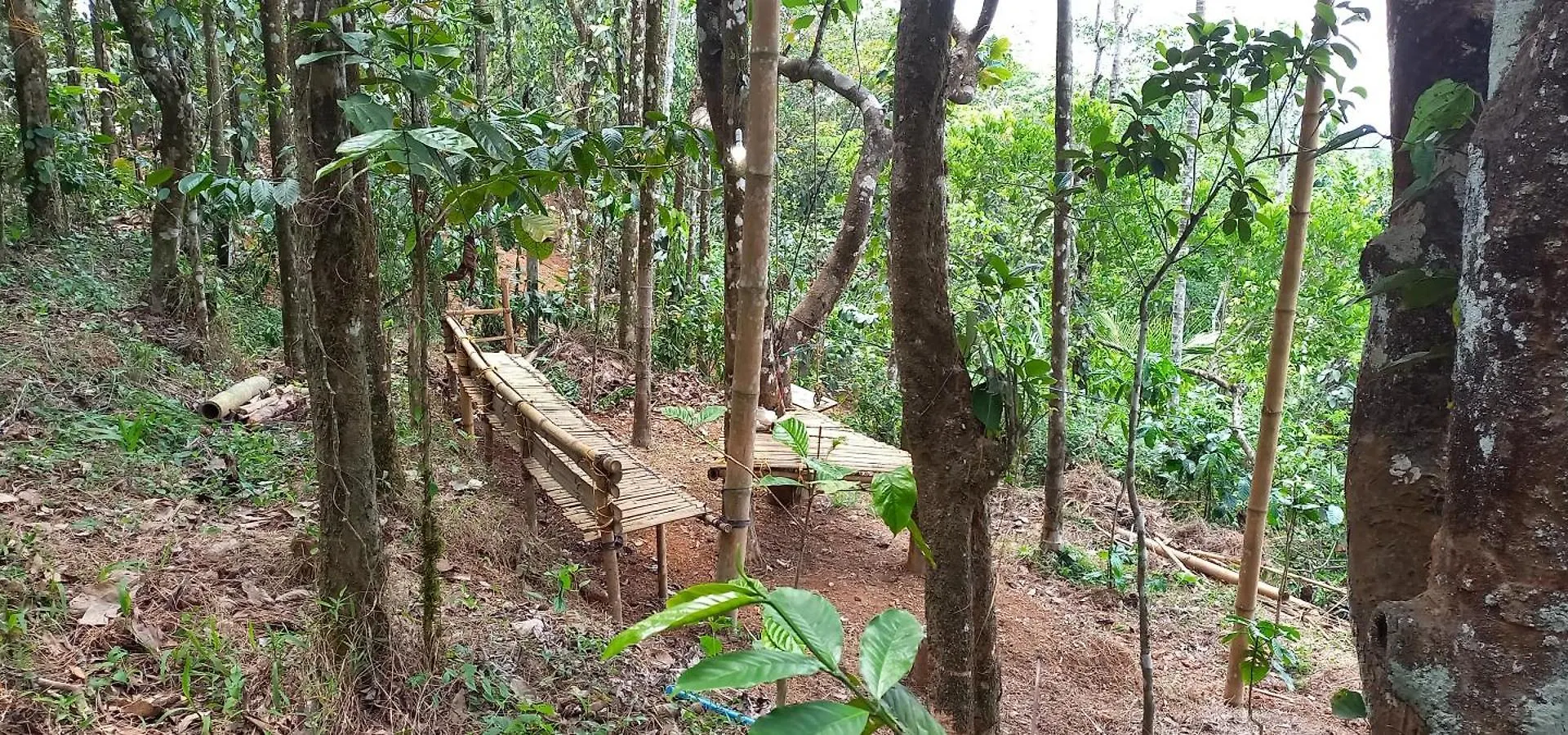 Pepper Mist Wayanad Homestay Tindummal Villa