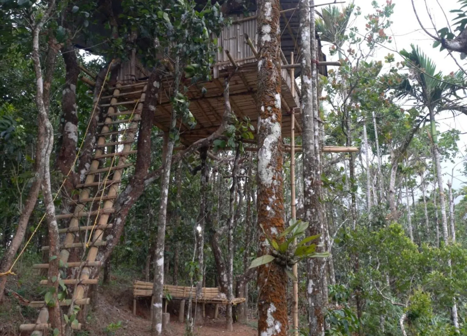 Pepper Mist Wayanad Homestay Tindummal 0*,  India