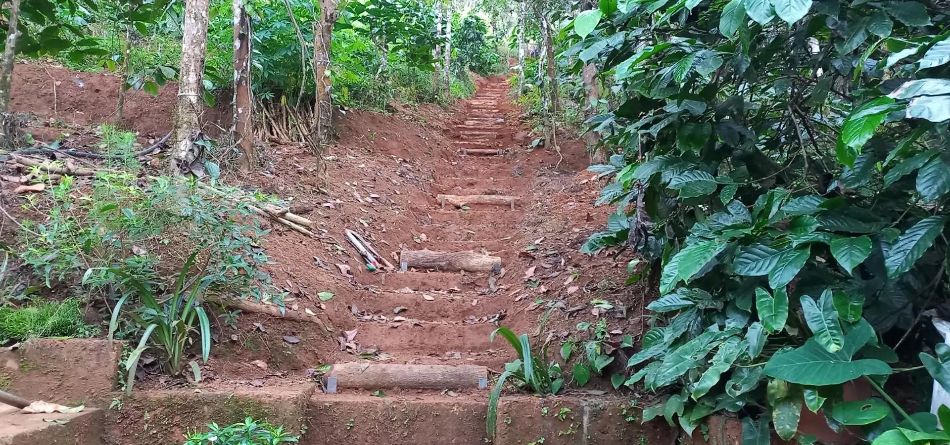 Willa Pepper Mist Wayanad Homestay Tindummal Indie