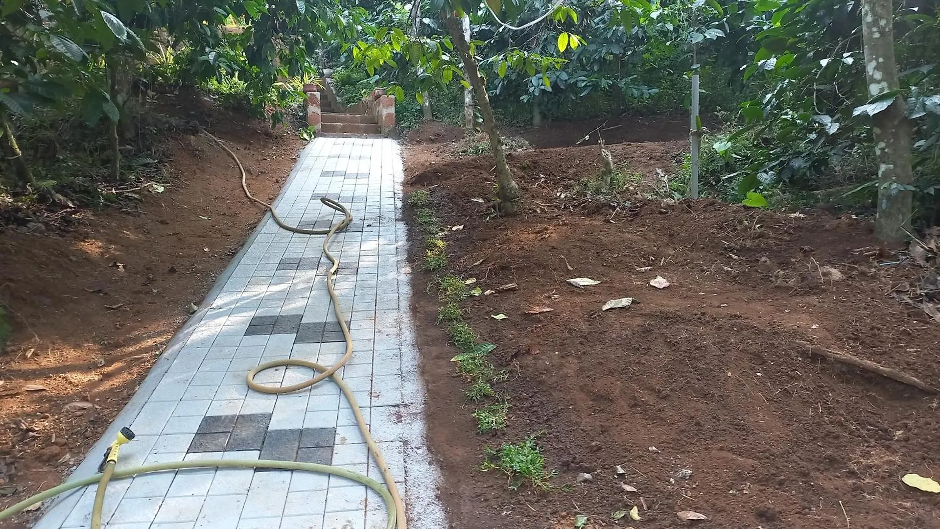 Pepper Mist Wayanad Homestay Tindummal