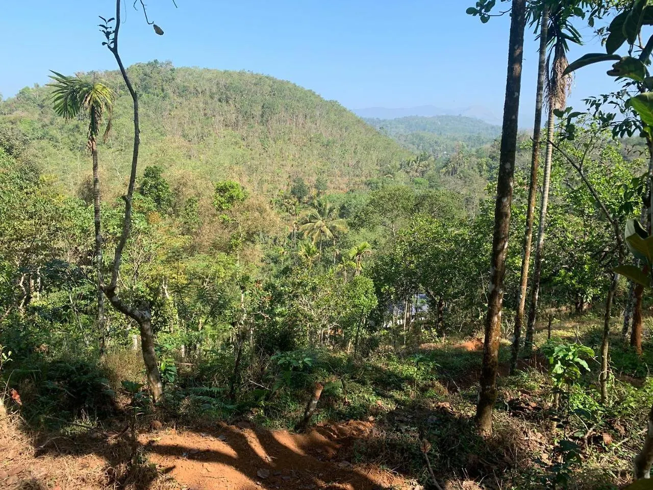 Willa Pepper Mist Wayanad Homestay Tindummal Indie