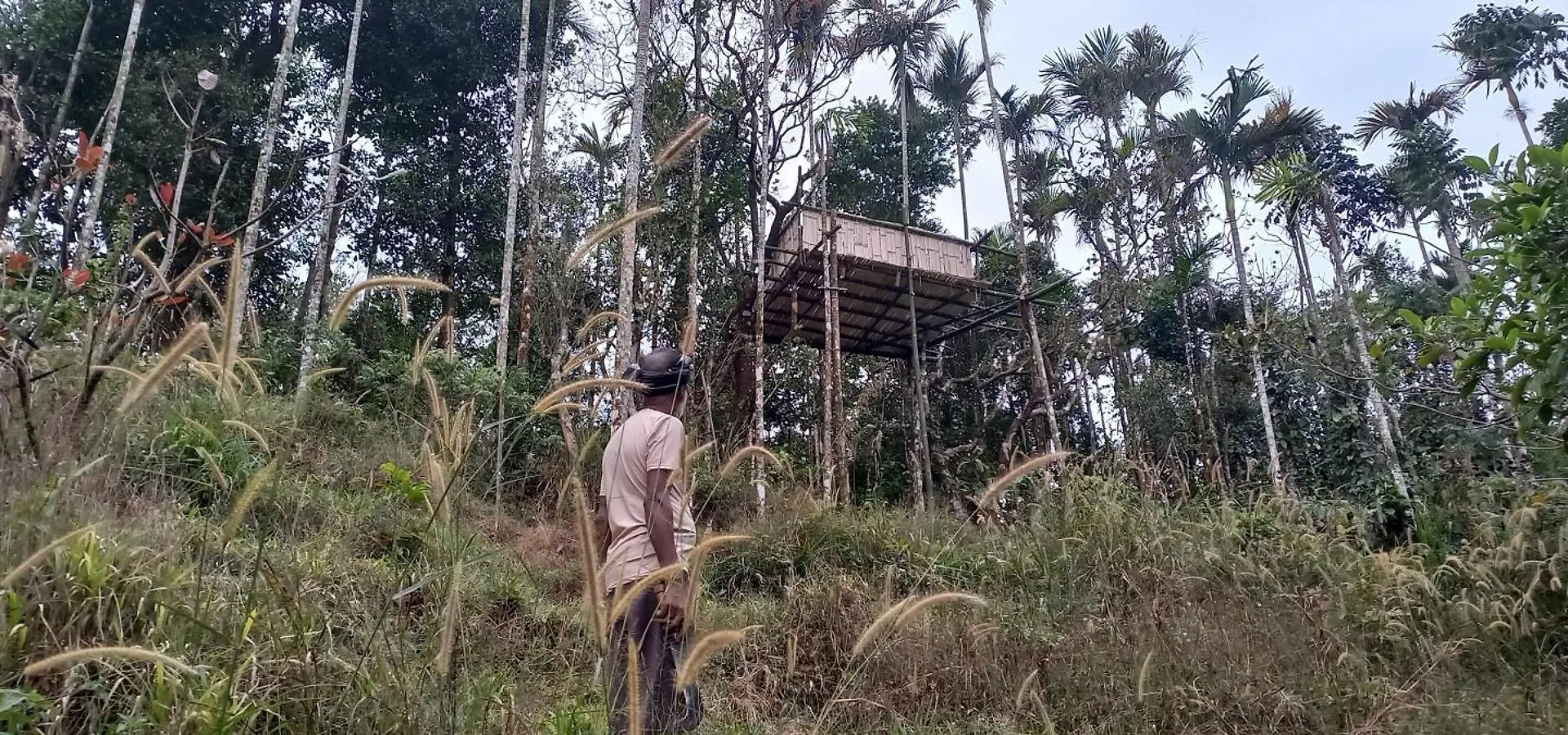 Pepper Mist Wayanad Homestay Tindummal 0*,  Indie